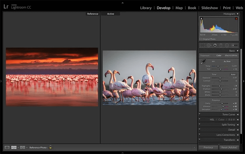 Adobe Lightroom