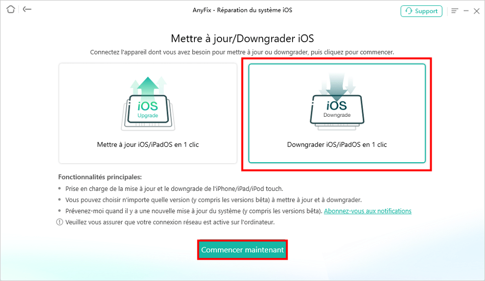 Downgrader iOS