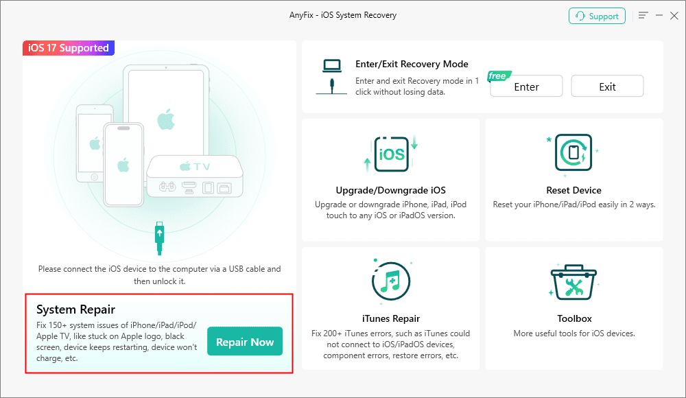 AnyFix System Repair Option