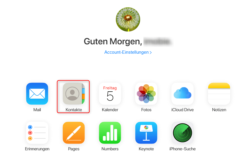 Bei iCloud nach der Anmeldung auf Kontakte klicken