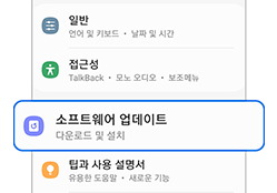 ‘소프트웨어 업데이트’ 옵션 클릭