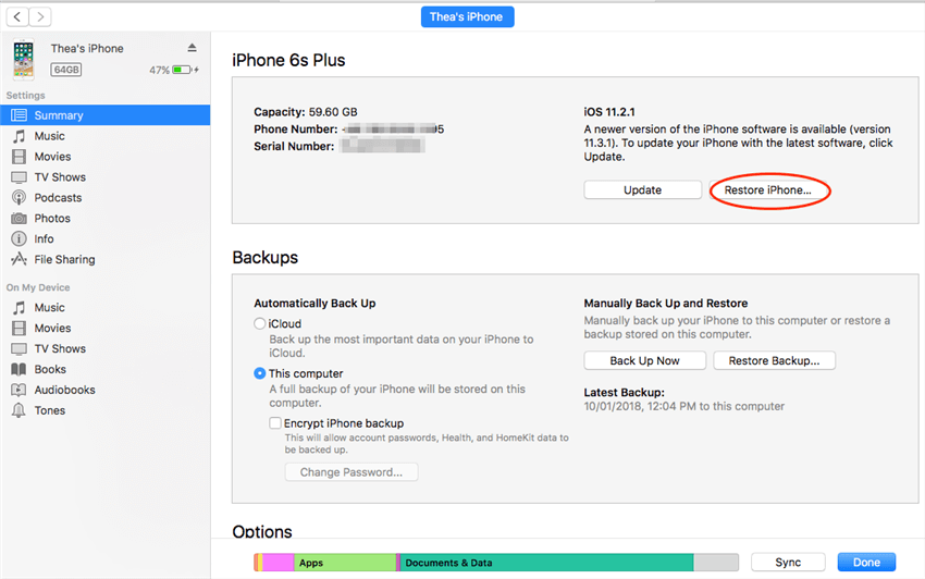 Restoring Device to Factory Settings via iTunes