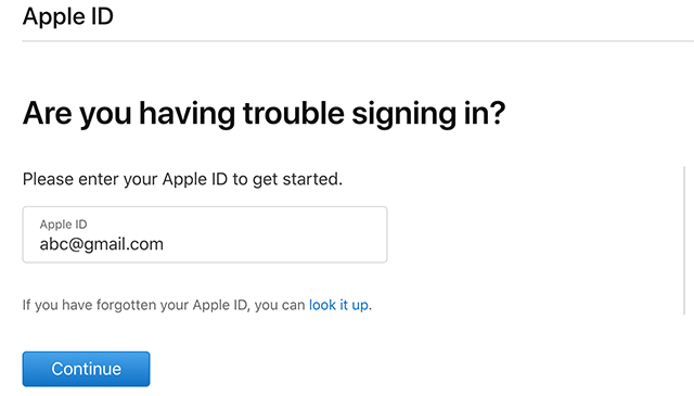 Input Your Apple ID