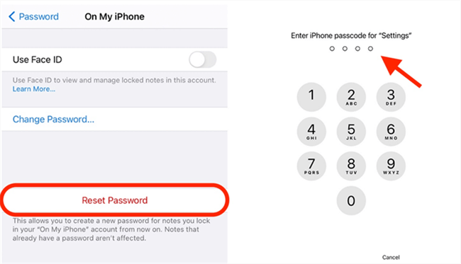 Tap on Reset Password