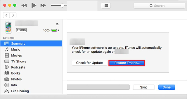 Restore iPhone Through iTunes