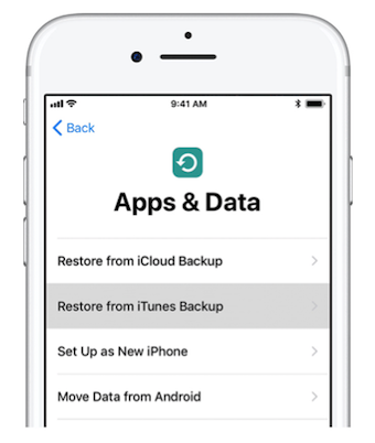 Restore Data from an iTunes Backup File