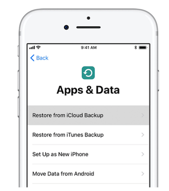 Restore Data from an iCloud Backup